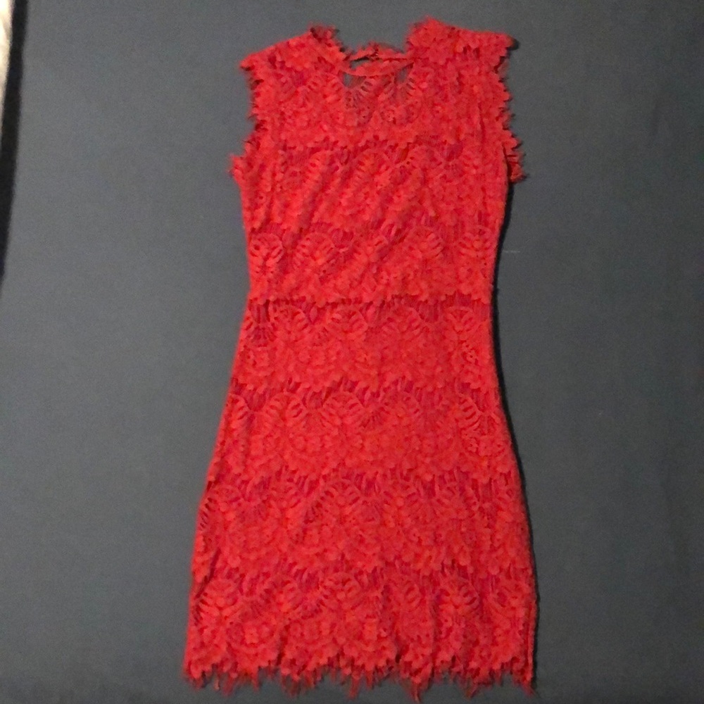 Alya Lace Body-con Dress - Francesca Collection
